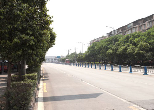 公共绿化-川藏公路
