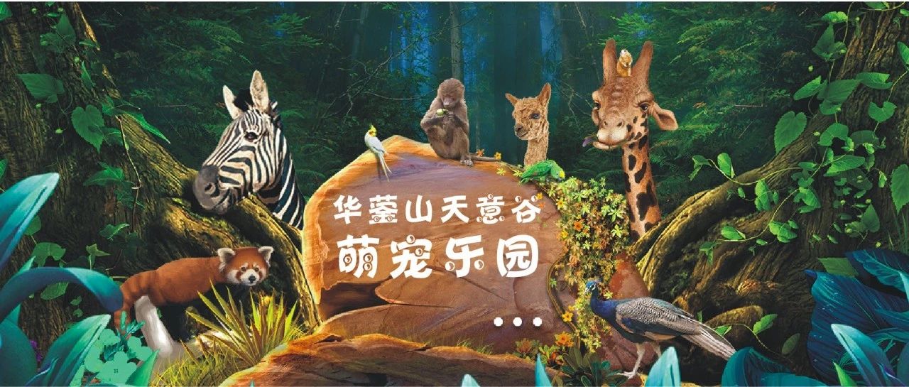 暑期门票优惠券免费领取...来天意谷,捞鱼抓螃蟹,羊驼 鸽子 浣熊 梅花鹿。。